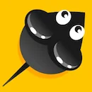 Mouse Path