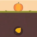 Pumpkin Dig