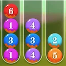 Sort Puzzle